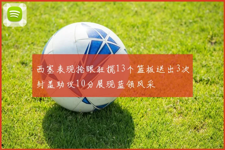 西塞表现抢眼狂揽13个篮板送出3次封盖助攻10分展现蓝领风采