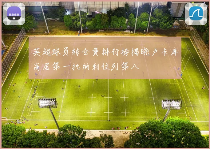 英超球员转会费排行榜揭晓卢卡库高居第一托纳利位列第八