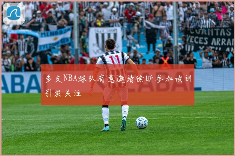 多支NBA球队有意邀请徐昕参加试训引发关注